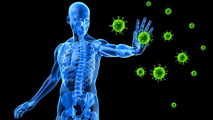 IMPORTANCE OF THE IMMUNE SYSTEM