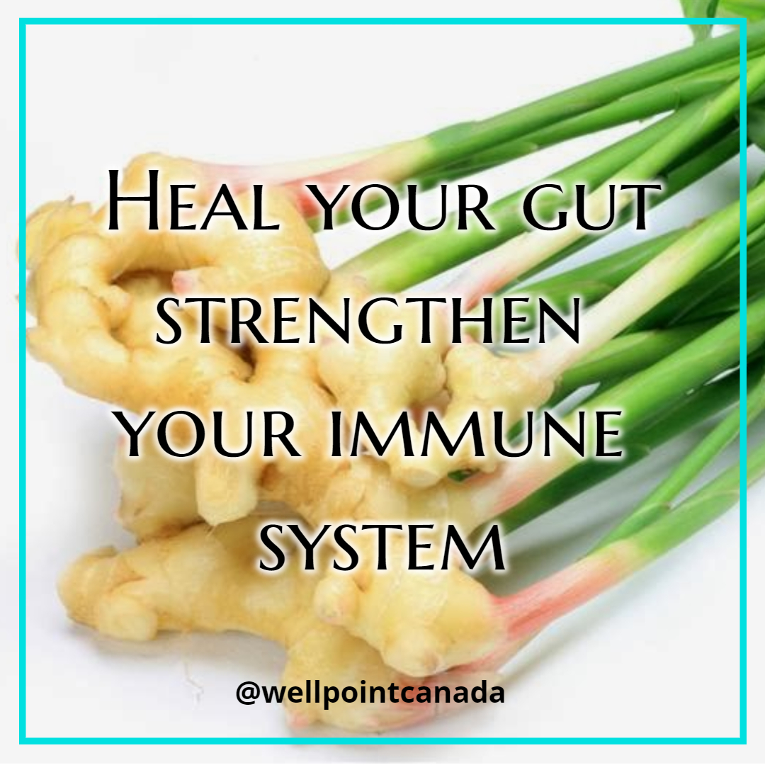 HEAL YOUR GUT, STRENGTHEN YOUR IMMUNE SYSTEM